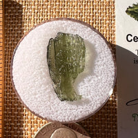 Moldavite 1.1 grams #2197-Moldavite Life