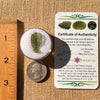 Moldavite 1.1 grams #2197-Moldavite Life