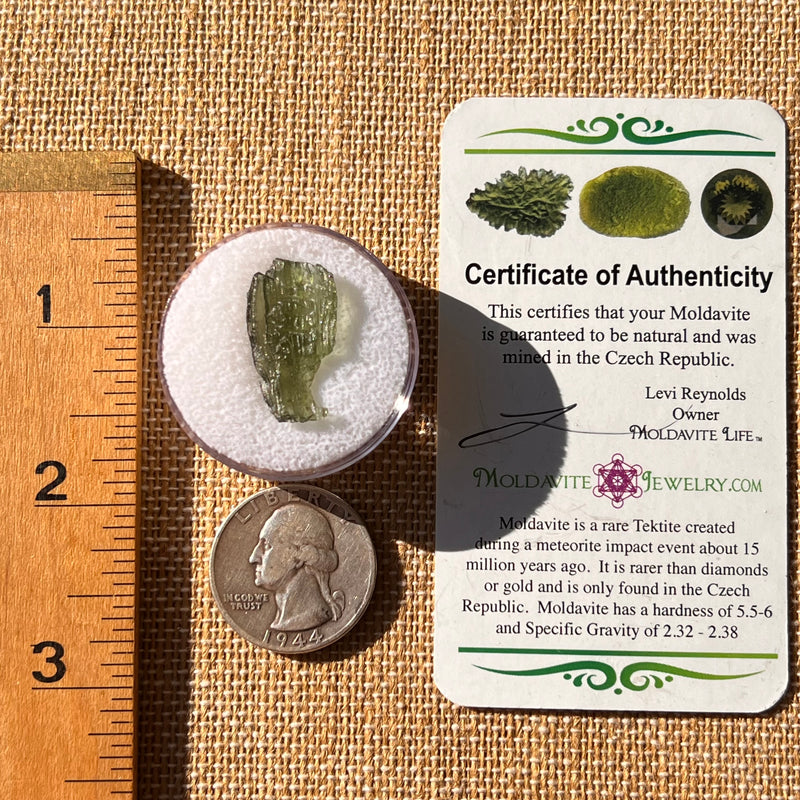 Moldavite 1.1 grams #2197-Moldavite Life