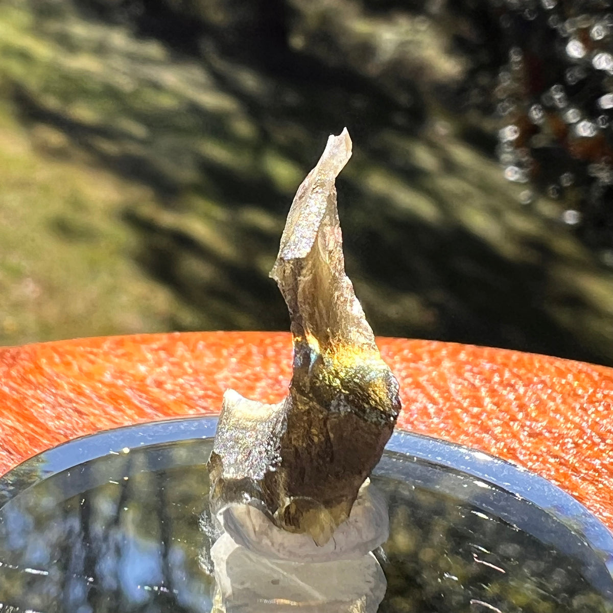 Moldavite 1.1 grams #2340-Moldavite Life