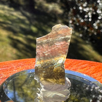 Moldavite 1.1 grams #2340-Moldavite Life