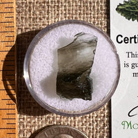 Moldavite 1.1 grams #2340-Moldavite Life
