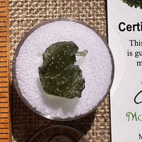 Moldavite 1.1 grams #2372-Moldavite Life