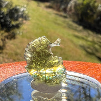 Moldavite 1.1 grams #2372-Moldavite Life