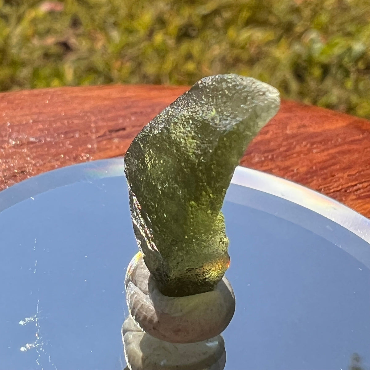 Moldavite 1.2 grams #1692-Moldavite Life