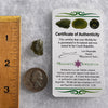 Moldavite 1.2 grams #1777-Moldavite Life