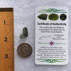 Moldavite 1.2 grams #1782-Moldavite Life