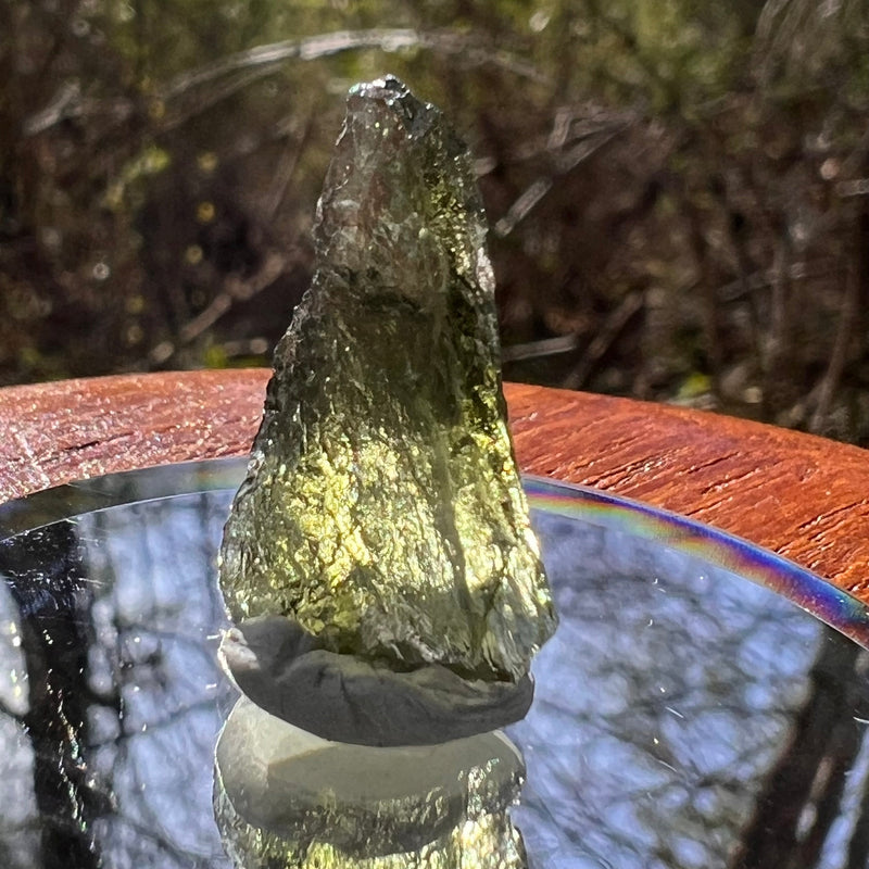 Moldavite 1.2 grams #1794-Moldavite Life