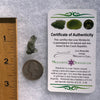 Moldavite 1.2 grams #1803-Moldavite Life