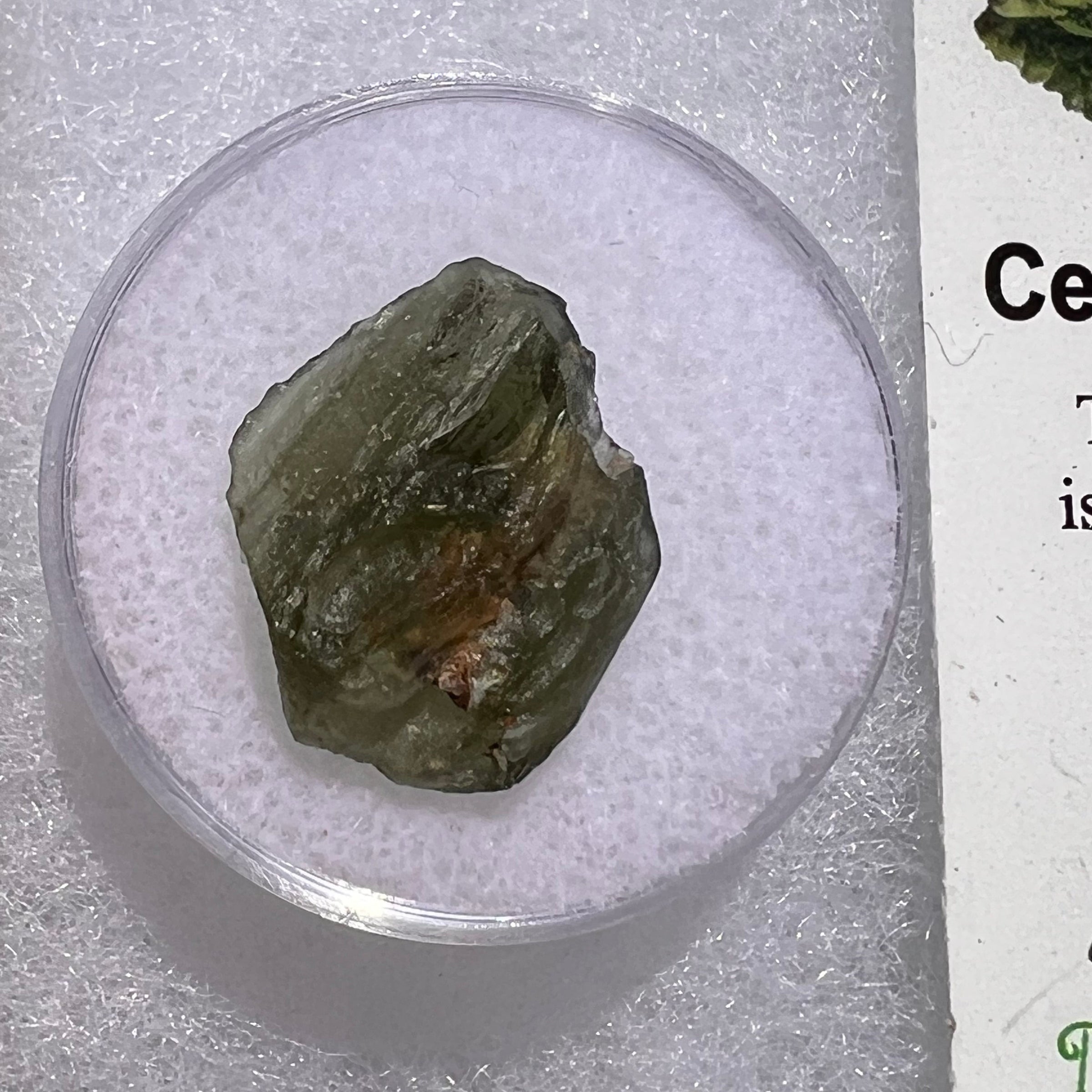 Moldavite 1.2 grams #1857-Moldavite Life