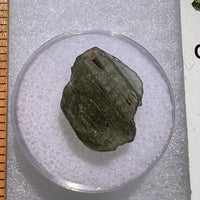 Moldavite 1.2 grams #1857-Moldavite Life