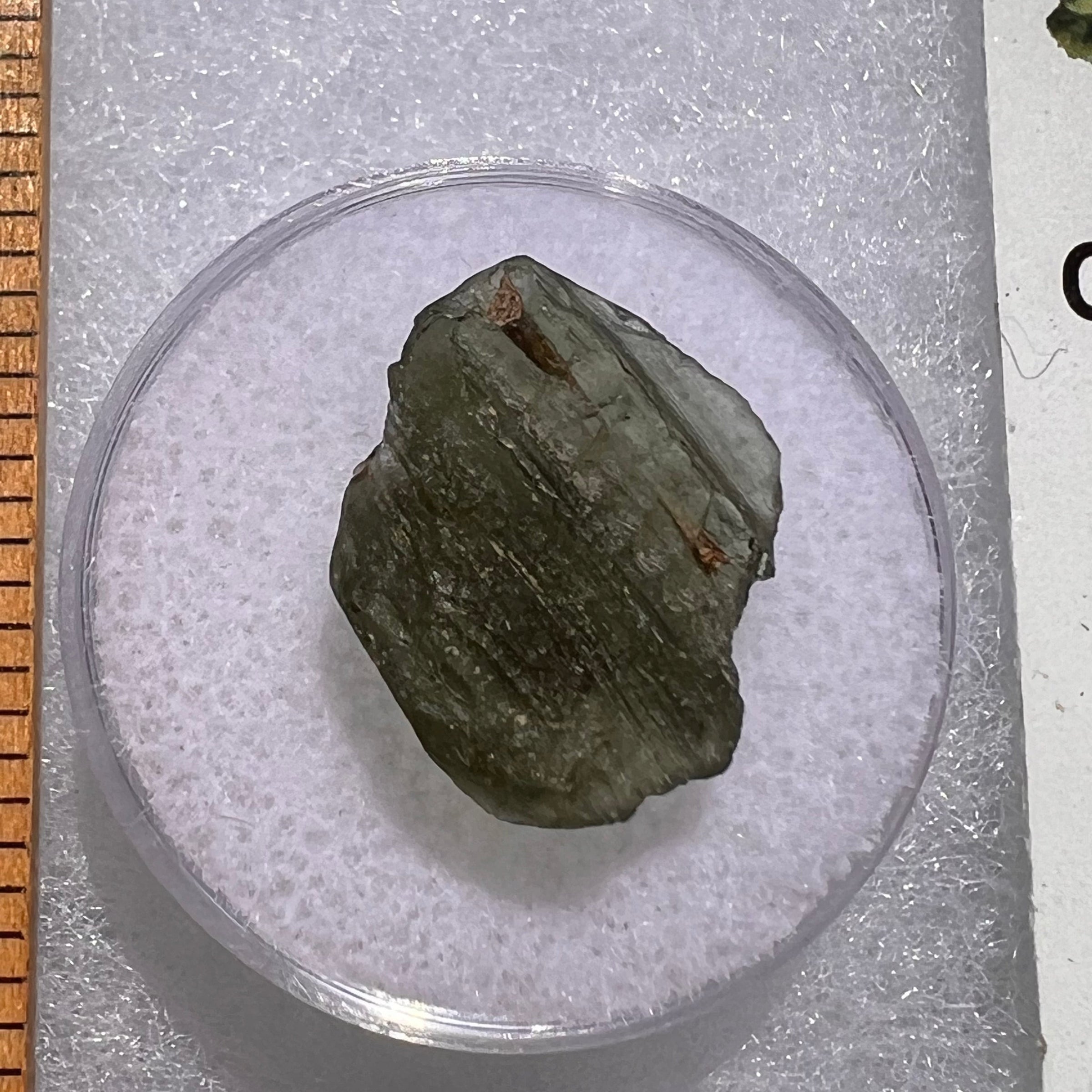 Moldavite 1.2 grams #1857-Moldavite Life