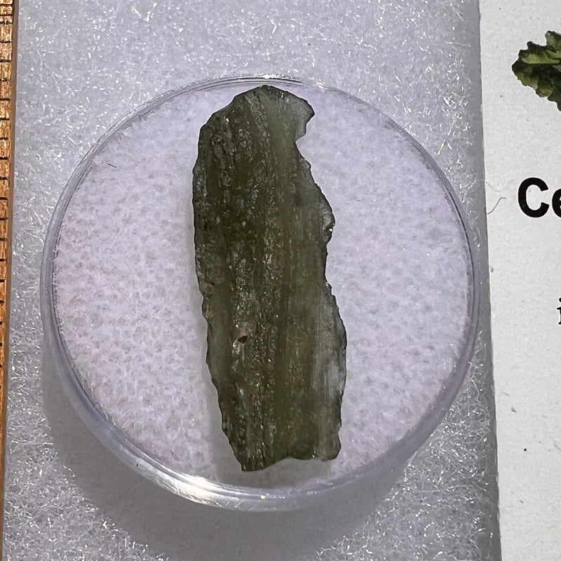 Moldavite 1.2 grams #1862-Moldavite Life