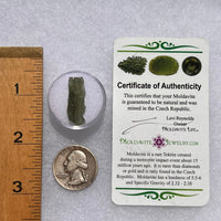 Moldavite 1.2 grams #1862-Moldavite Life