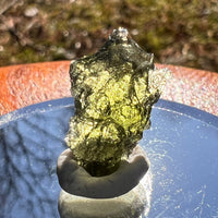 Moldavite 1.2 grams #1989-Moldavite Life