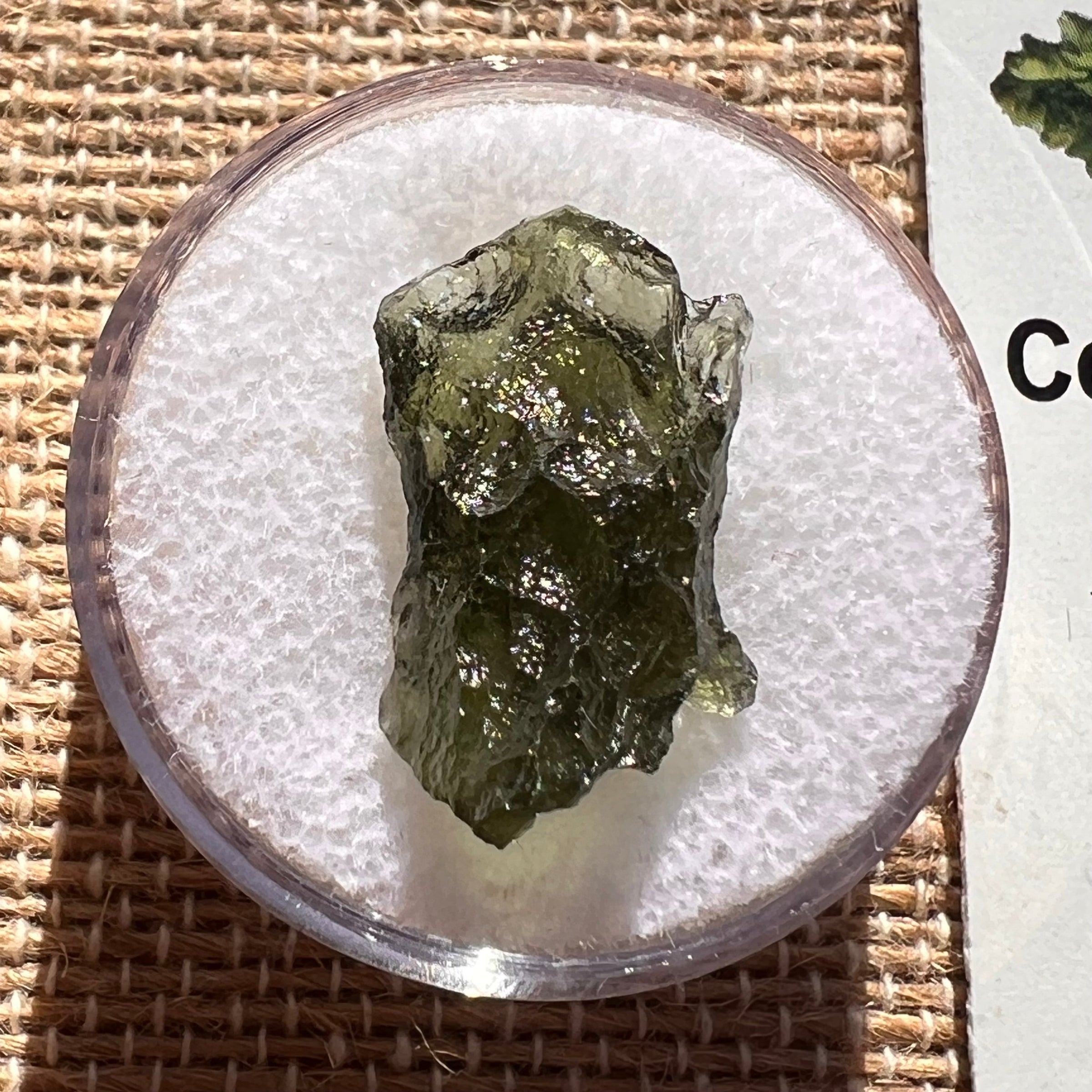 Moldavite 1.2 grams #1989-Moldavite Life