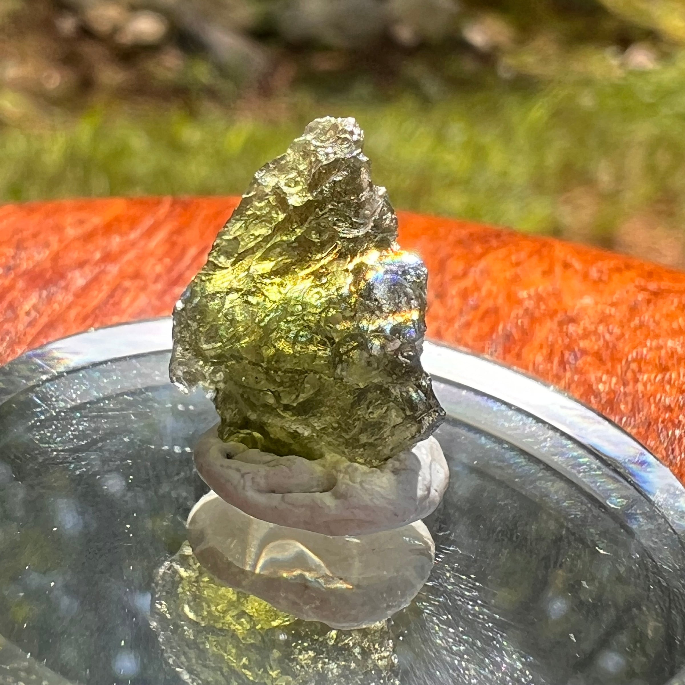 Moldavite 1.2 grams #2072-Moldavite Life