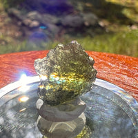Moldavite 1.2 grams #2072-Moldavite Life