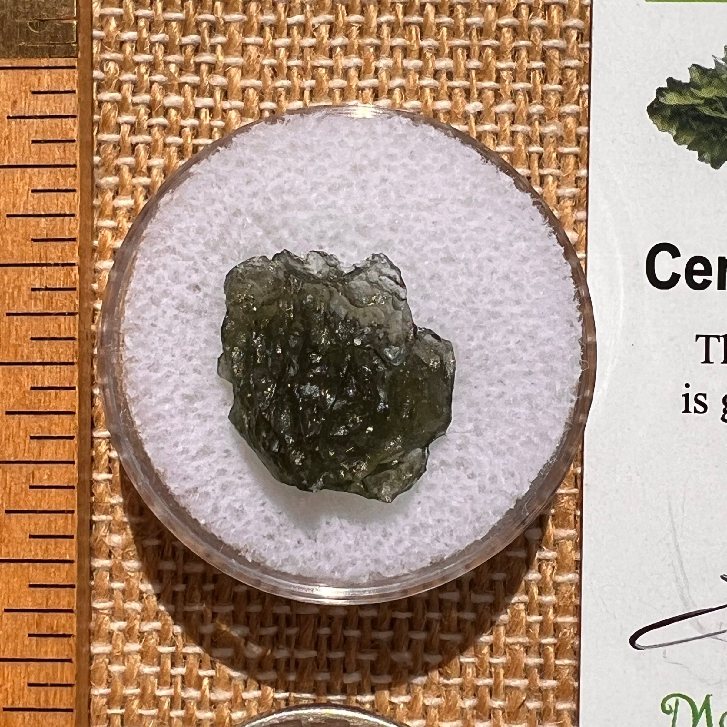 Moldavite 1.2 grams #2072-Moldavite Life