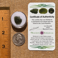 Moldavite 1.2 grams #2072-Moldavite Life