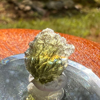 Moldavite 1.2 grams #2072-Moldavite Life