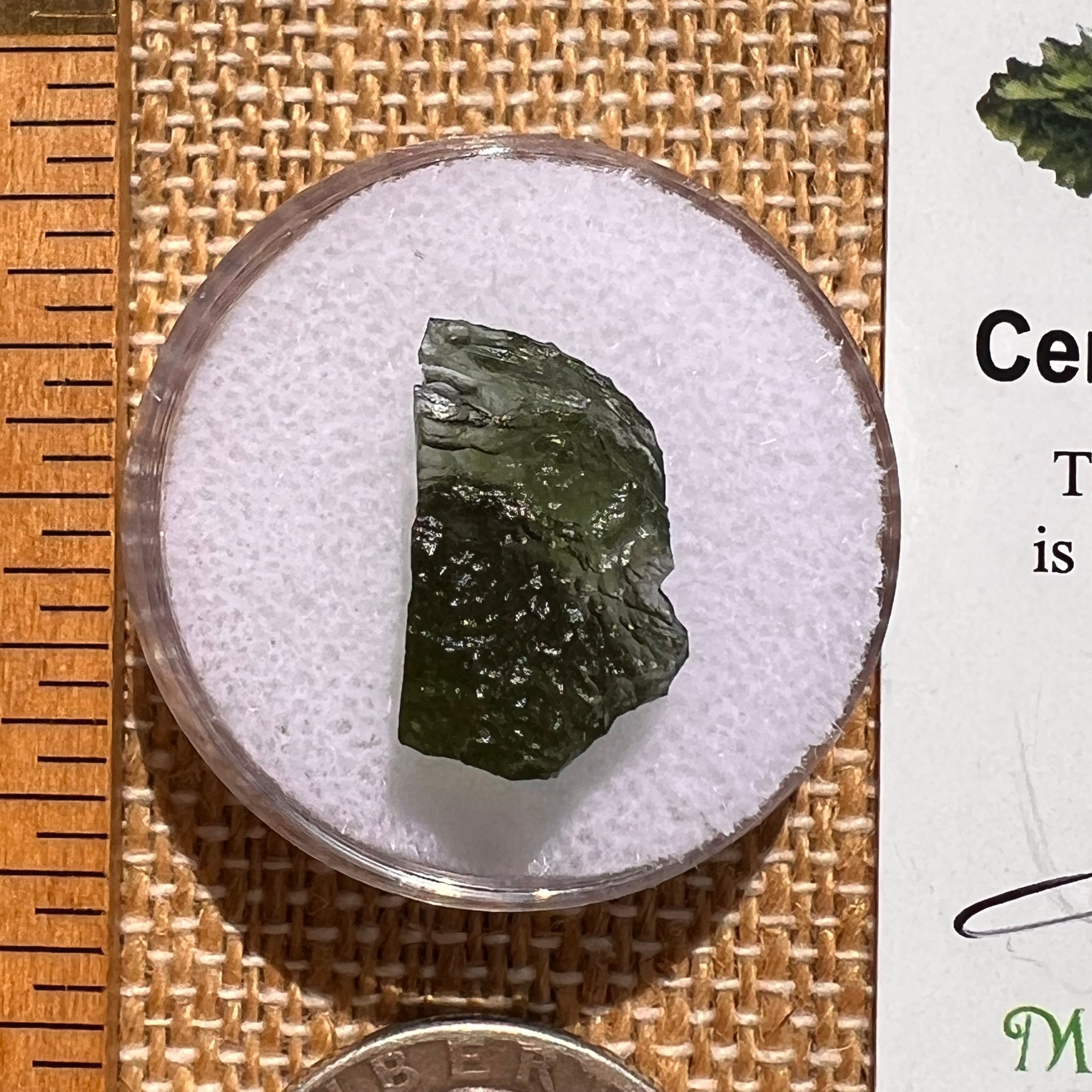 Moldavite 1.2 grams #2073-Moldavite Life
