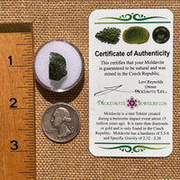 Moldavite 1.2 grams #2073-Moldavite Life