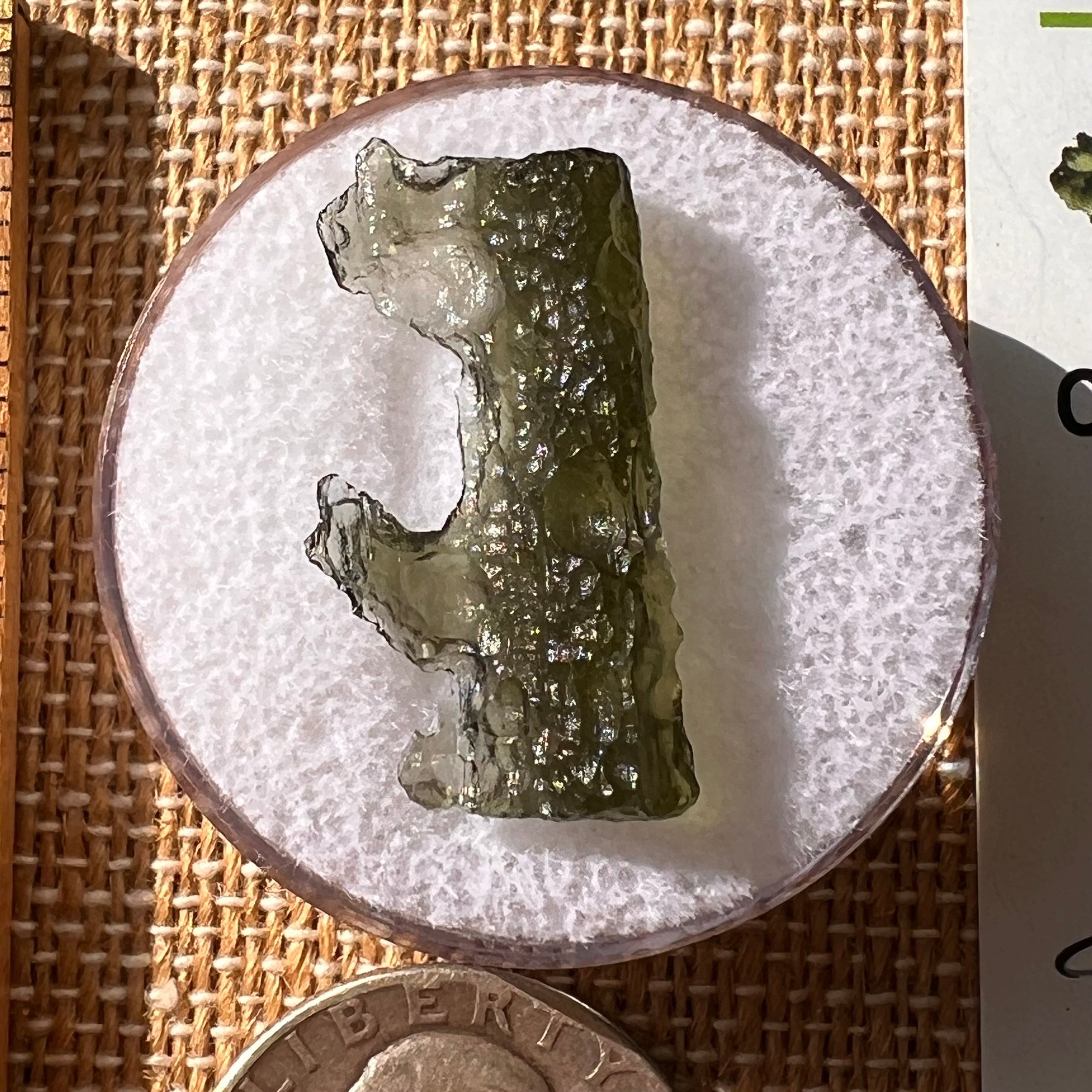 Moldavite 1.2 grams #2134-Moldavite Life