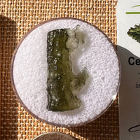 Moldavite 1.2 grams #2134-Moldavite Life