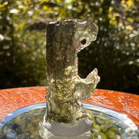 Moldavite 1.2 grams #2134-Moldavite Life