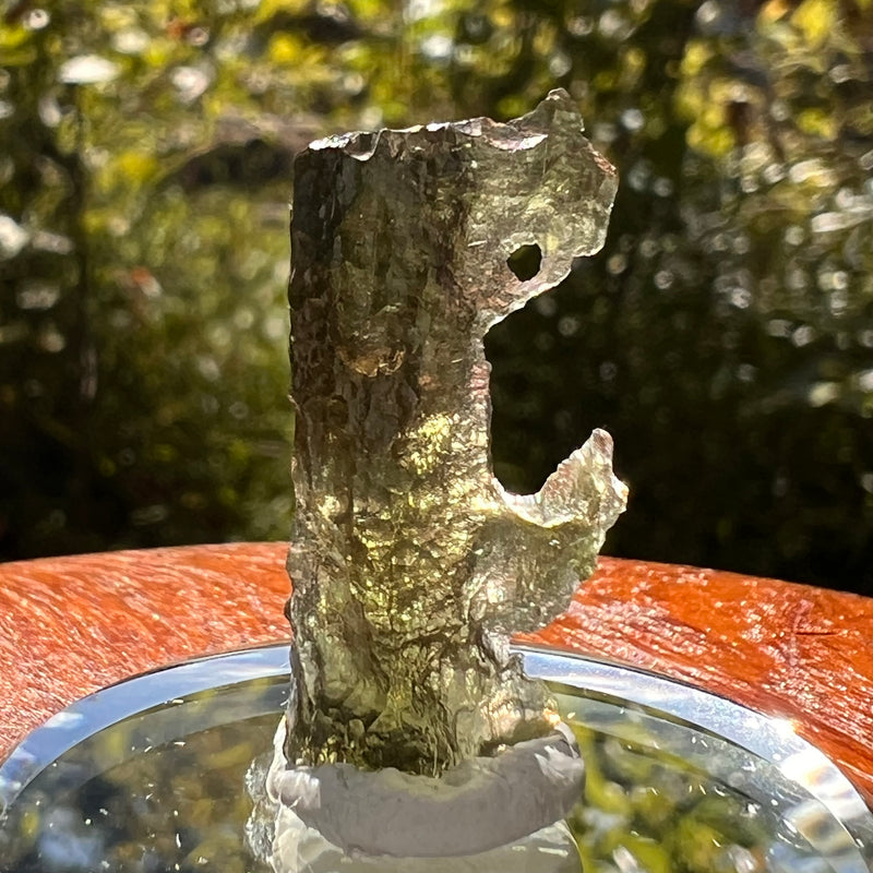 Moldavite 1.2 grams #2134-Moldavite Life