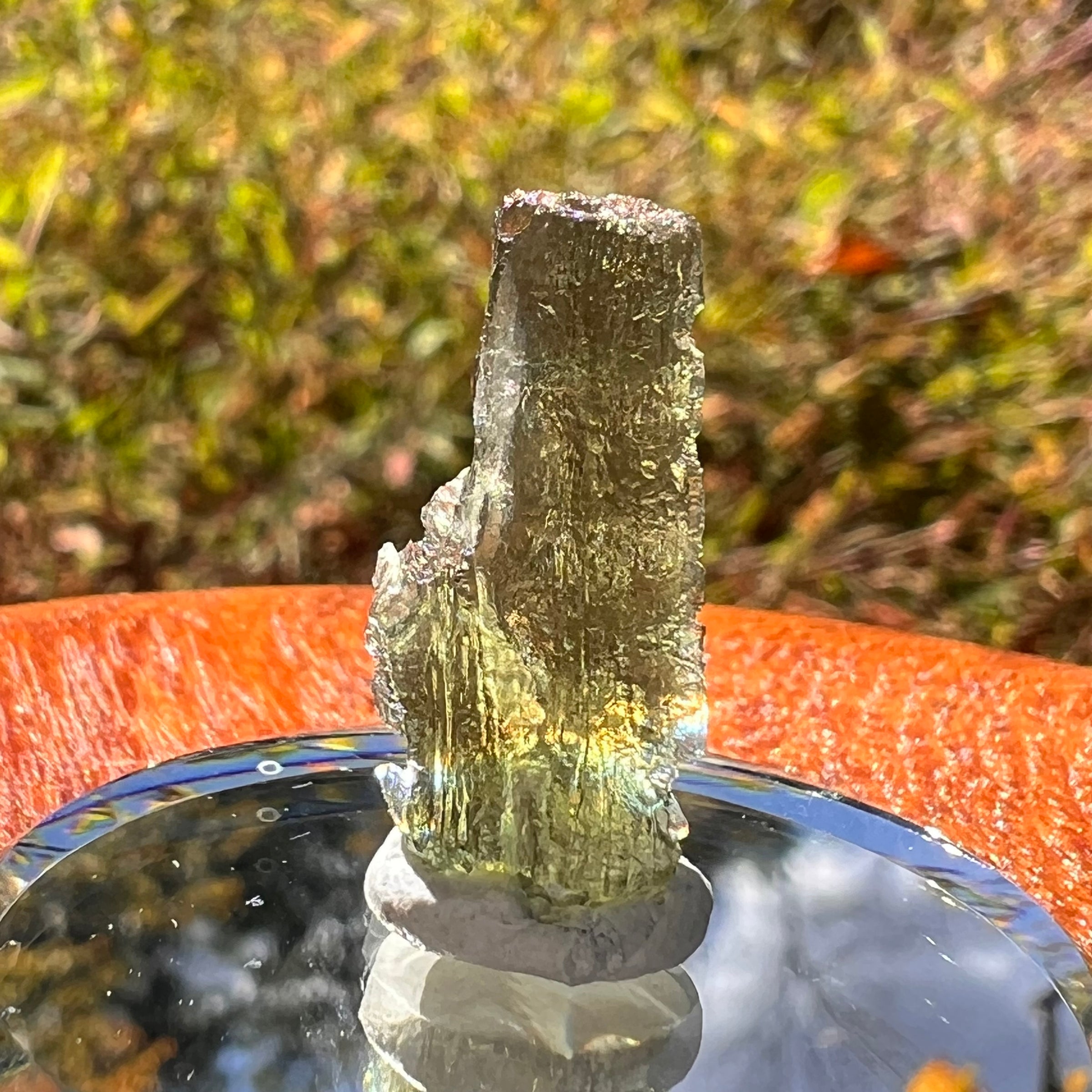 Moldavite 1.2 grams #2231-Moldavite Life