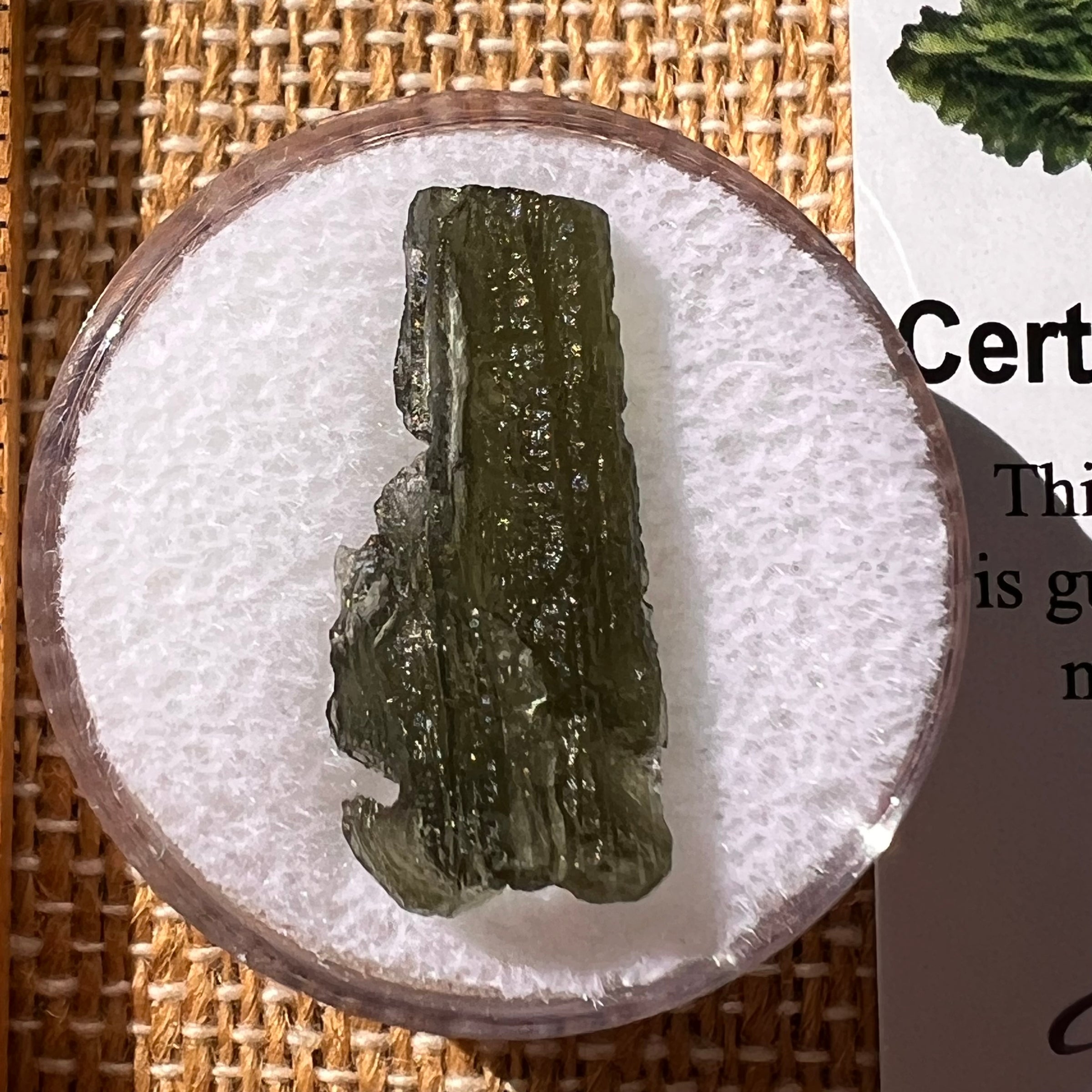 Moldavite 1.2 grams #2231-Moldavite Life
