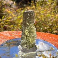 Moldavite 1.2 grams #2231-Moldavite Life