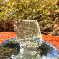 Moldavite 1.2 grams #2233-Moldavite Life