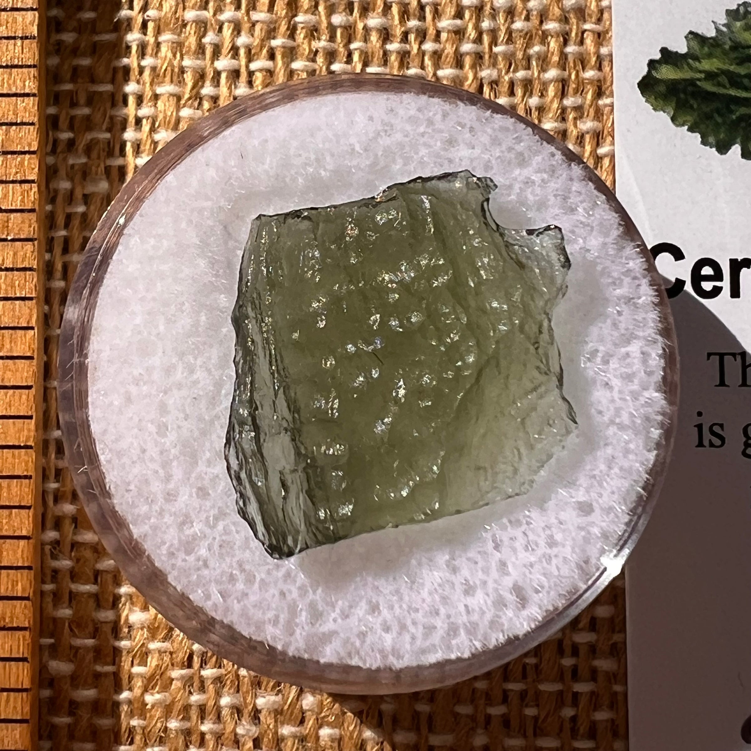 Moldavite 1.2 grams #2233-Moldavite Life