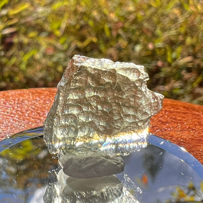 Moldavite 1.2 grams #2233-Moldavite Life