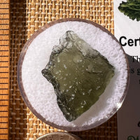 Moldavite 1.2 grams #2239-Moldavite Life