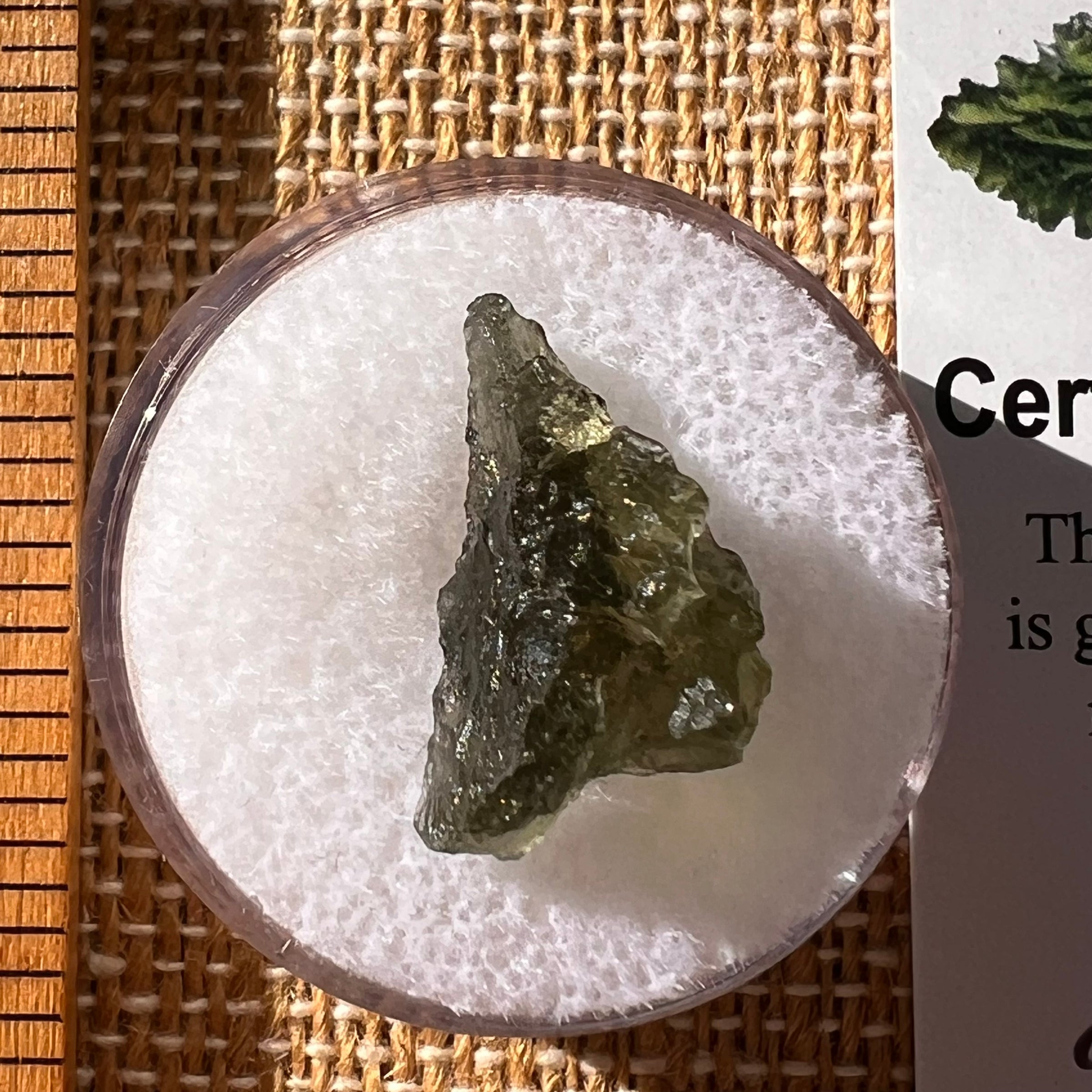 Moldavite 1.2 grams #2280-Moldavite Life