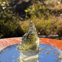 Moldavite 1.2 grams #2280-Moldavite Life