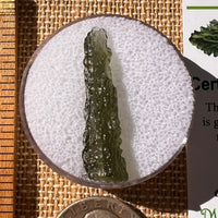 Moldavite 1.2 grams #2323-Moldavite Life