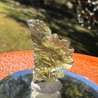 Moldavite 1.2 grams #2335-Moldavite Life