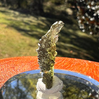 Moldavite 1.2 grams #2335-Moldavite Life