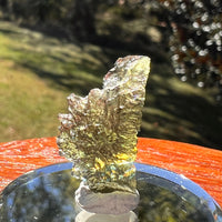 Moldavite 1.2 grams #2335-Moldavite Life