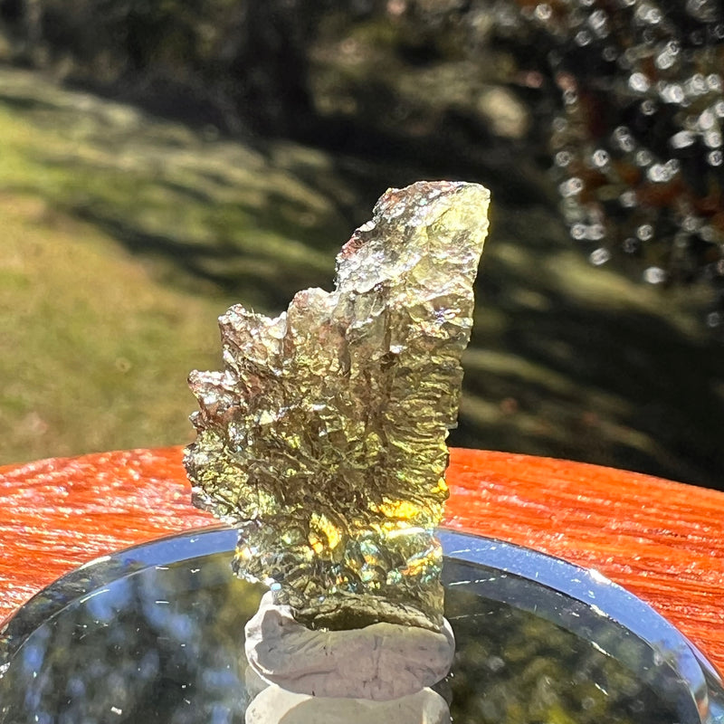 Moldavite 1.2 grams #2335-Moldavite Life