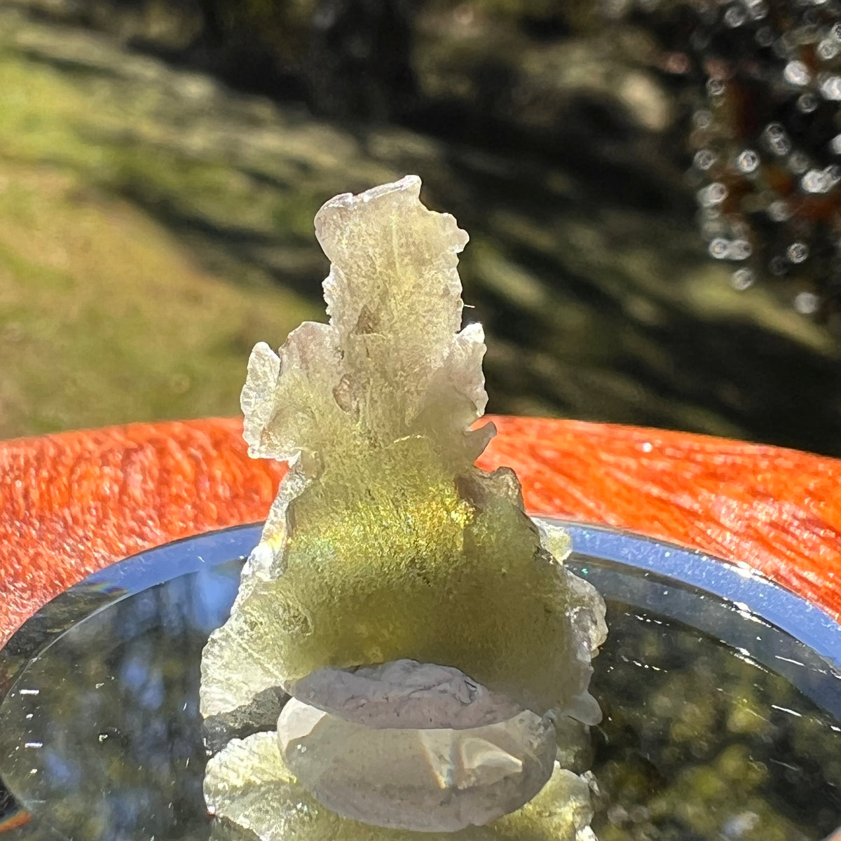 Moldavite 1.2 grams #2339-Moldavite Life