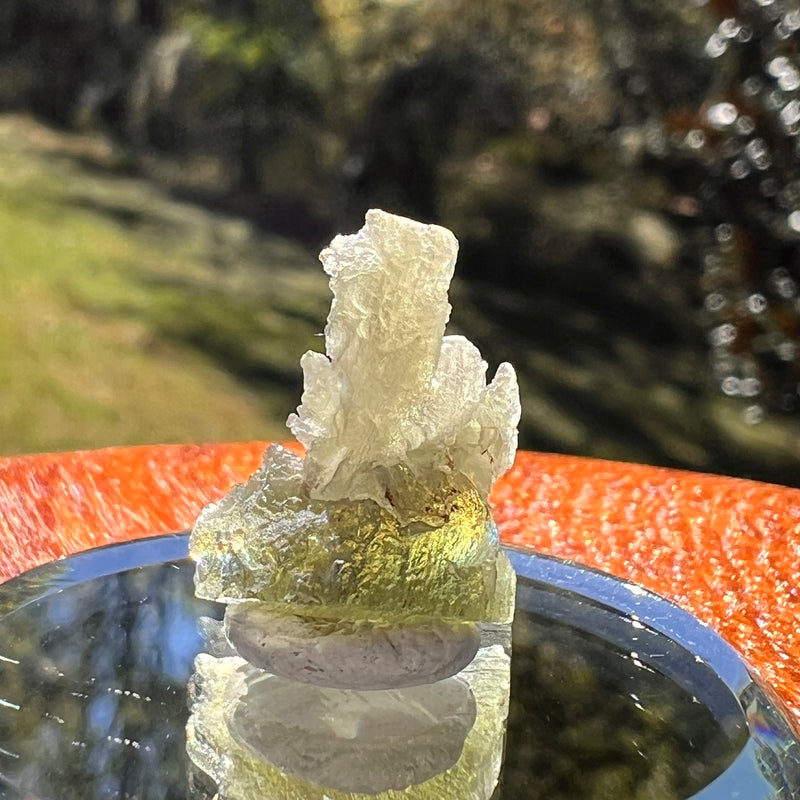 Moldavite 1.2 grams #2339-Moldavite Life