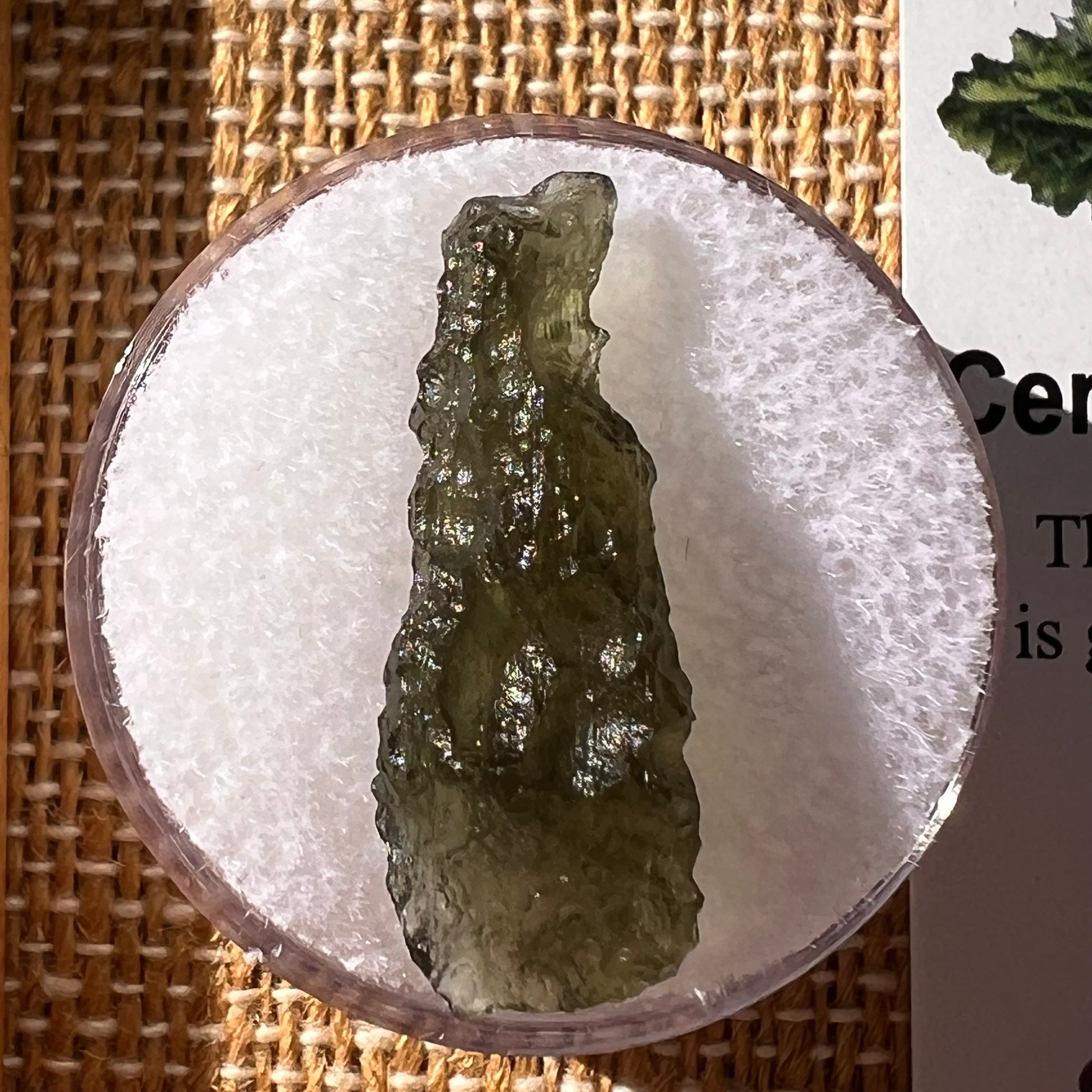 Moldavite 1.3 gram #2281-Moldavite Life
