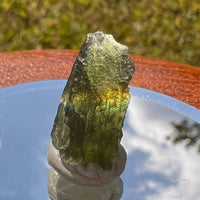 Moldavite 1.3 grams #1698-Moldavite Life