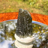 Moldavite 1.3 grams #1698-Moldavite Life